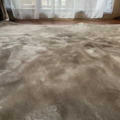 イケヒコ洗えるラグ　ふかふかの画像