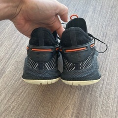 カリー6 バッシュの画像