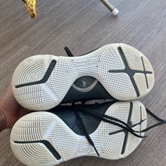 カリー6 バッシュの画像