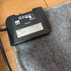 電気カーペットの画像