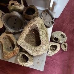 【決まりました】軽石鉢！他色々