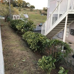 草刈り剪定などやります - 秦野市