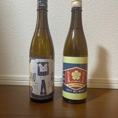 日本史（初恋、ニューハツサクラ2本セット）