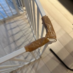 free stitch スタイリッシュドッグサークルの画像