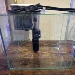 GEXガラス水槽300 セット×2個の画像