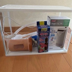 熱帯魚　グッピー　メダカ　水槽　セット