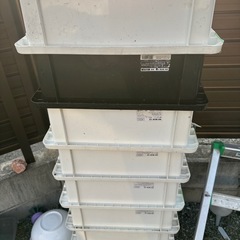 NV BOX13