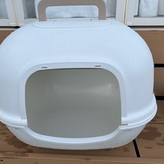 決まりました