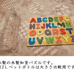 No, 132　木製知育パズル　アルファベット