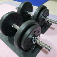 【美品】セメントダンベルセット（10kg×2）アルインコ製（バー...