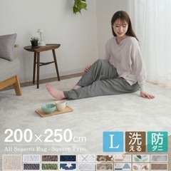 家具 カーペット/マット/ラグ