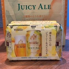 YEBISU JUICY ALE 6缶パック×2 350ml