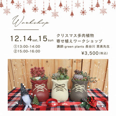 クリスマス多肉寄せ植えワークショップ