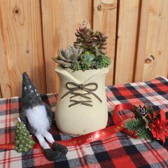 クリスマス多肉寄せ植えワークショップ − 富山県