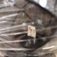 【A163】アンティークランタン  Gifcoの画像