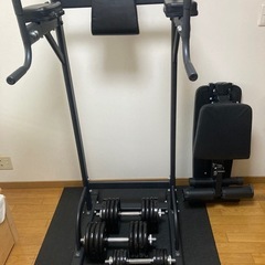 ダンベル、懸垂マシン(マット付)、ベンチ台