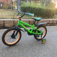 キッズこどもマウンテンバイクnemo16インチの画像