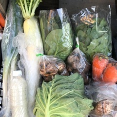 直売所　旬の野菜50円〜100円　ブロッコリー、長ネギ、大根、小松菜などの画像