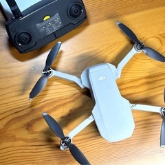 DJI MAVIC MINI Fly More Combo
の画像