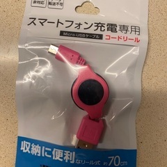 ミッキー&ミニー　アイコンイヤフォンの画像