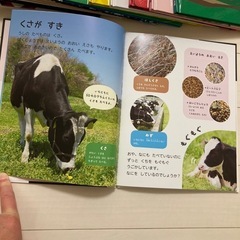 子供用知育本の画像