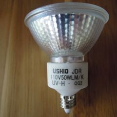 ハロゲンランプ　口金E11　６０Wまたは５０ｗ複数購入可の画像