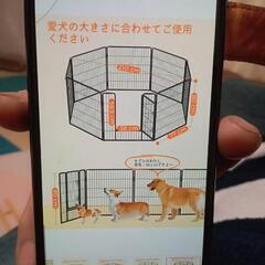 犬のサークル受け渡し決まりました