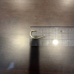 釣り針　金針10号
の画像