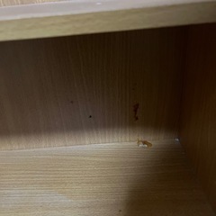 棚 2個セットの画像