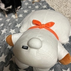 bt 21  R JぬいぐるみLサイズの画像