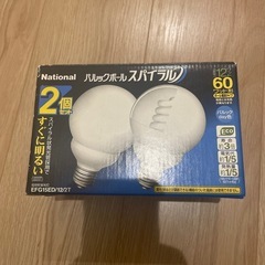 電球 1個
