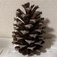★大きな松ぼっくり★インテリアやイベントにの画像
