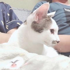 2020.3.8生まれの男の子です。