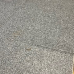 ニトリ電気カーペットとカーペットセットの画像