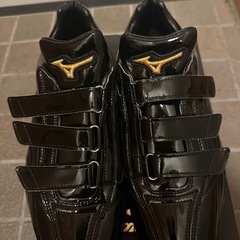 ミズノプロ トレーニングシューズの画像