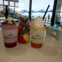平日ランチ