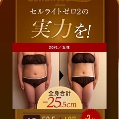 セルライトゼロ2｜超高機能　痩身マシン　業務用の画像