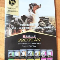✨新品✨ピュリナ プロプラン ドッグ 超小型犬用 小型犬用 成犬用 健康維持をサポート チキン 2.5kg ドッグフード ドライフード 定価5500→2000 ②の画像