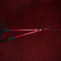 中古のウォーキングポールです