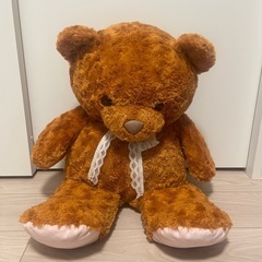 くま　クマ　ぬいぐるみ　テディベア