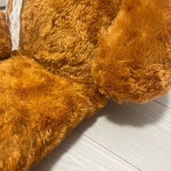 くま　クマ　ぬいぐるみ　テディベアの画像