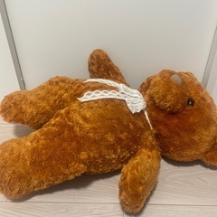 くま　クマ　ぬいぐるみ　テディベアの画像