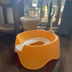 猫おまる式トイレの画像