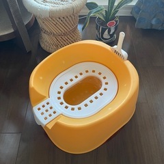 猫おまる式トイレの画像