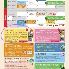 ※残り1席※1/25（土）◇バレンタイン◇ナチュラルアイシングク...