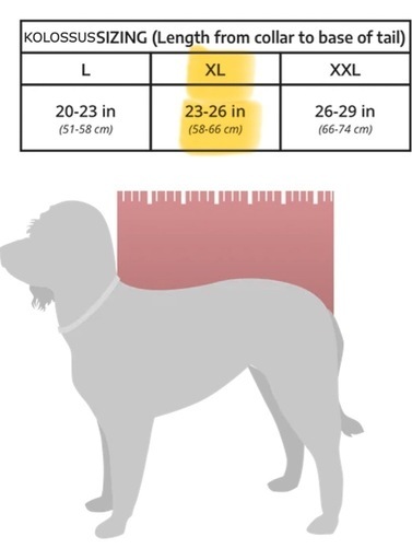 犬用バックパックキャリア