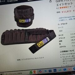 Go FIT  アンクル　ウエイト4.2キロ　(片側2.1キロ)　中古品の画像