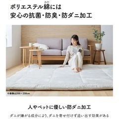 ラグ 絨毯 マット カーペット