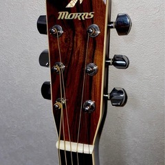 Morris MF501 美品！調整済みの画像