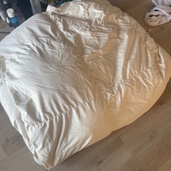 羽毛かけふ